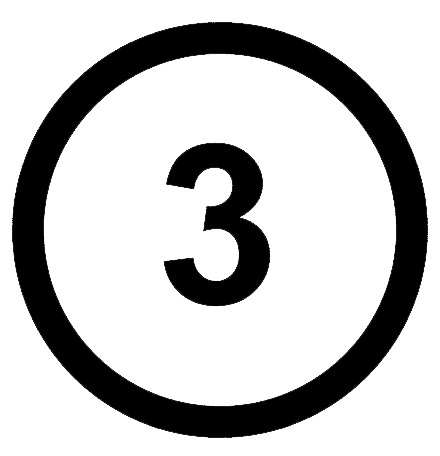Step 03